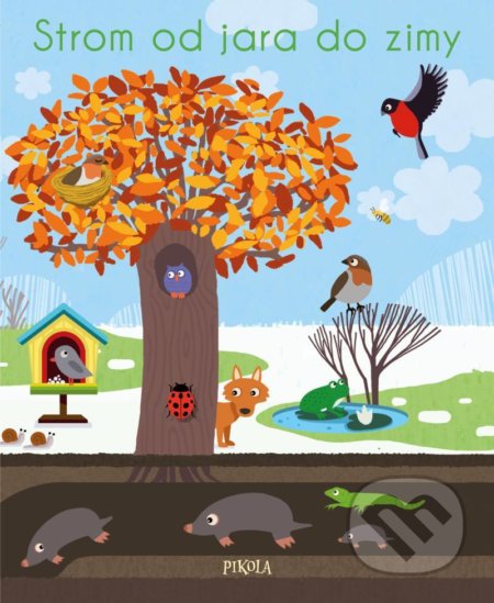 Kniha: Strom od jara do zimy (Nicole Colas des Francs). Pikola, 2021 Kniha: Strom od jara do zimy (Nicole Colas des Francs). Pikola, 2021