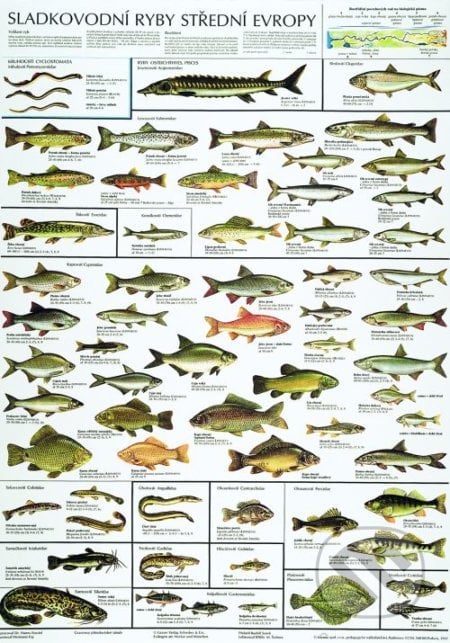 Sladkovodní ryby střední Evropy, Scientia, 2006
