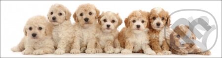 3D záložka - Seven puppies (MapCards). MapCards, 2020 3D záložka - Seven puppies (MapCards). MapCards, 2020