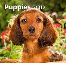 Puppies 2012 - Nástěnný kalendář, Helma, 2011