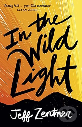 In the Wild Light - Jeff Zentner, Andersen, 2021