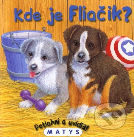 Kniha: Kde je Fliačik? (Sibyla Mislovičová). Matys, 2011 Kniha: Kde je Fliačik? (Sibyla Mislovičová). Matys, 2011