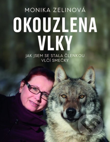 Kniha: Okouzlena vlky (Monika Zelinová). Esence, 2021 Kniha: Okouzlena vlky (Monika Zelinová). Esence, 2021