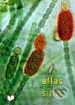 Kniha: Fotografický atlas mikroskopických siníc (František Hindák). VEDA, 2002 Kniha: Fotografický atlas mikroskopických siníc (František Hindák). VEDA, 2002