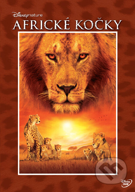 Film: Africké kočky: Království odvahy (Alastair Fothergill) (DVD). Magicbox Film: Africké kočky: Království odvahy (Alastair Fothergill) (DVD). Magicbox