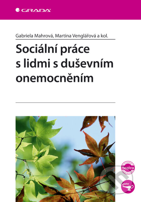 Sociální práce s lidmi s duševním onemocněním - Gabriela Mahrová, Martina Venglářová, Grada, 2008