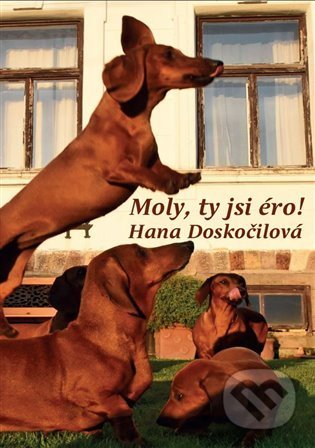 Kniha: Moly, ty jsi éro! (Hana Doskočilová). iTutorial, 2021 Kniha: Moly, ty jsi éro! (Hana Doskočilová). iTutorial, 2021