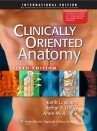Kniha: Clinically Oriented Anatomy (Keith L. Moore). Lippincott Williams & Wilkins, 2009 Kniha: Clinically Oriented Anatomy (Keith L. Moore). Lippincott Williams & Wilkins, 2009