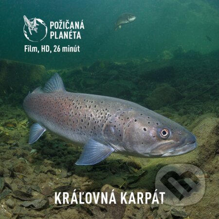 Film: Kráľovná Karpát (Cesty za tichom) (DVD). Cesty za tichom, 2021 Film: Kráľovná Karpát (Cesty za tichom) (DVD). Cesty za tichom, 2021