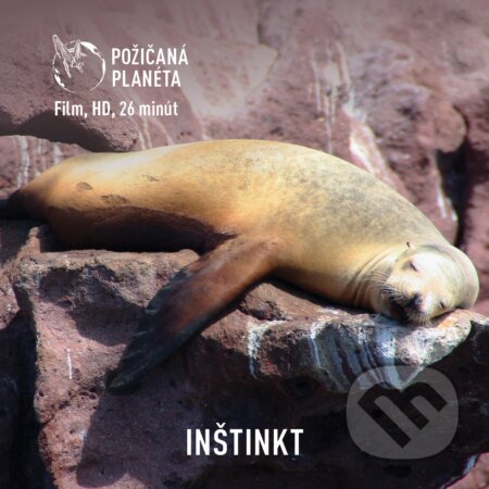 Film: Inštinkt (Cesty za tichom) (DVD). Cesty za tichom, 2021 Film: Inštinkt (Cesty za tichom) (DVD). Cesty za tichom, 2021