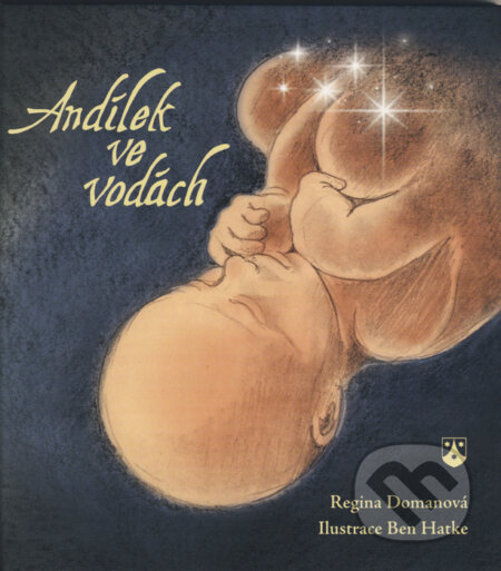 Kniha: Andílek ve vodách (Regina Domanová). Karmelitánské nakladatelství, 2012 Kniha: Andílek ve vodách (Regina Domanová). Karmelitánské nakladatelství, 2012