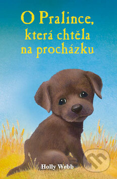Kniha: O pralince, která chtěla na procházku (Holly Webb). Nava, 2012 Kniha: O pralince, která chtěla na procházku (Holly Webb). Nava, 2012