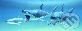 Záložka Úžaska: Hladoví žraloci, ABC Develop, 2012