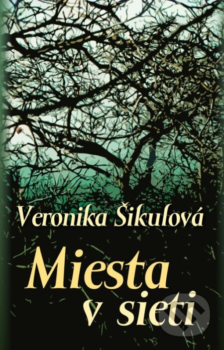 E-kniha: Miesta v sieti (Veronika Šikulová). Slovart, 2011 E-kniha: Miesta v sieti (Veronika Šikulová). Slovart, 2011