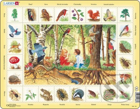 Puzzle: Les (NA4) (Larsen). Larsen Puzzle: Les (NA4) (Larsen). Larsen