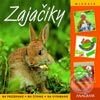Kniha: Zajačiky (Autorský kolektiv). Anagram, 2003 Kniha: Zajačiky (Autorský kolektiv). Anagram, 2003