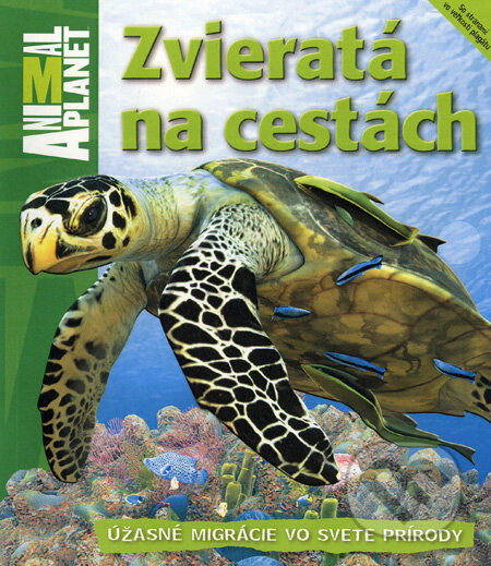 Kniha: Zvieratá na cestách (Fortuna Libri). Fortuna Libri, 2012 Kniha: Zvieratá na cestách (Fortuna Libri). Fortuna Libri, 2012