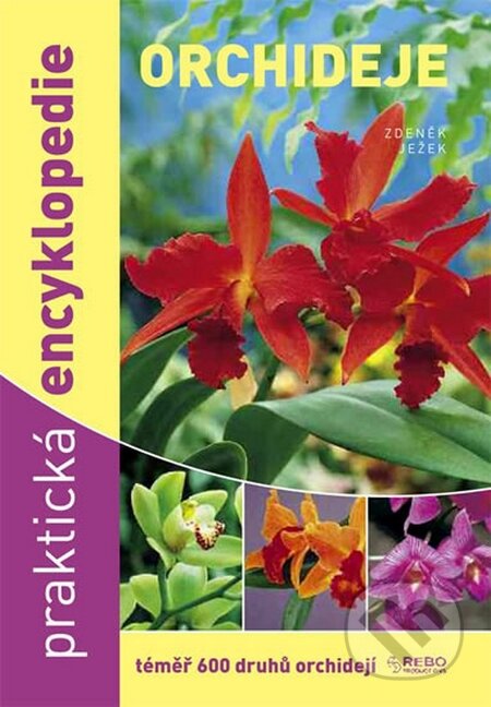 Kniha: Orchideje (Zdeněk Ježek). Rebo, 2012 Kniha: Orchideje (Zdeněk Ježek). Rebo, 2012