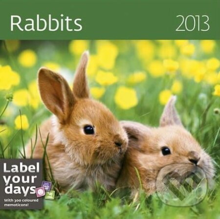 Rabbits 2013, Helma, 2012