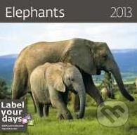 Elephants 2013, Helma, 2012