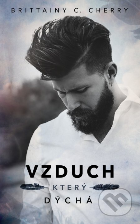 Kniha: Vzduch, který dýchá (Brittainy C. Cherry). Baronet, 2022 Kniha: Vzduch, který dýchá (Brittainy C. Cherry). Baronet, 2022