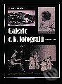 Kniha: Galerie c. k. fotografů (Pavel Scheufler). Grada, 2001 Kniha: Galerie c. k. fotografů (Pavel Scheufler). Grada, 2001