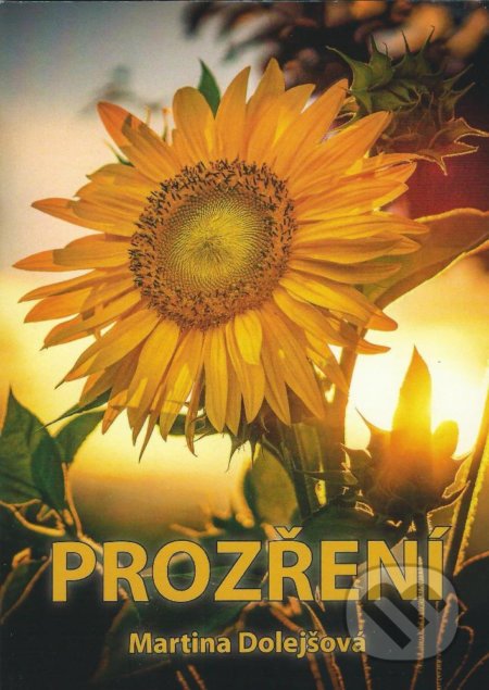 Kniha: Prozření (Martina Dolejšová). Oftis, 2022 Kniha: Prozření (Martina Dolejšová). Oftis, 2022