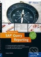 Kniha: SAP Query Reporting (SAP Press). SAP Press, 2010 Kniha: SAP Query Reporting (SAP Press). SAP Press, 2010