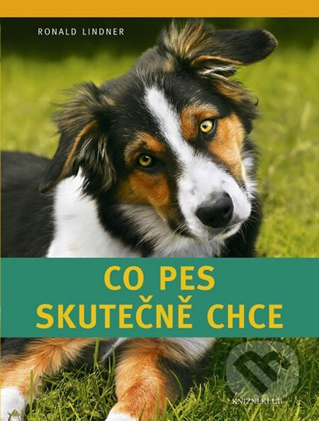 Kniha: Co pes skutečně chce (Ronald Lindner). Knižní klub, 2013 Kniha: Co pes skutečně chce (Ronald Lindner). Knižní klub, 2013