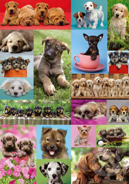 Puppies Collage, Educa, 2013