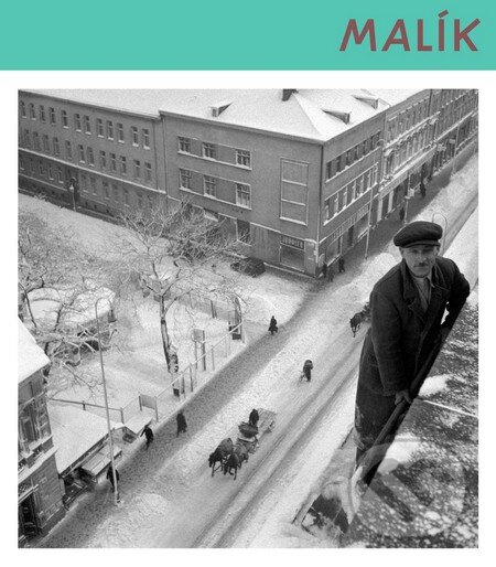 Kniha: Viliam Malík (Aurel Hrabušický a Filip Vančo). Slovart, Slovenská národná galéria, Photoport, 2013 Kniha: Viliam Malík (Aurel Hrabušický a Filip Vančo). Slovart, Slovenská národná galéria, Photoport, 2013