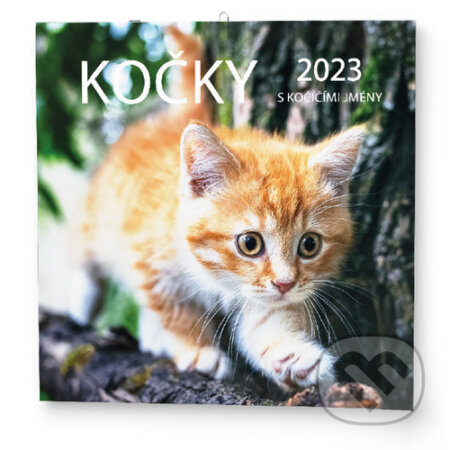 Kočky 2023 - nástěnný kalendář, Baloušek, 2022