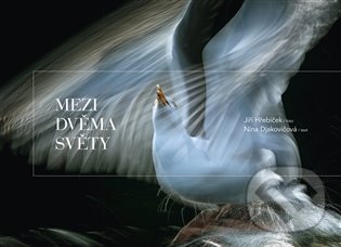 Kniha: Mezi dvěma světy (Jiří Hřebíček a Nina Djakovičová). Knihy s úsměvem, 2022 Kniha: Mezi dvěma světy (Jiří Hřebíček a Nina Djakovičová). Knihy s úsměvem, 2022