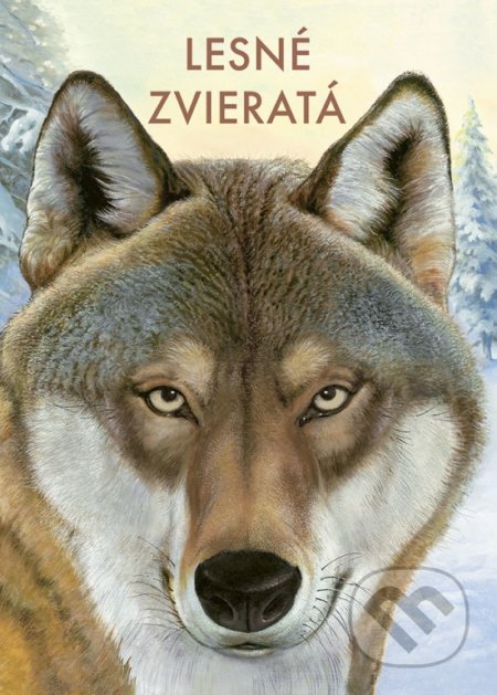 Kniha: Lesné zvieratá (Holger Haag). Stonožka, 2022 Kniha: Lesné zvieratá (Holger Haag). Stonožka, 2022