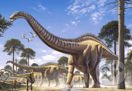 Puzzle: Supersaurus (Castorland). Castorland, 2013 Puzzle: Supersaurus (Castorland). Castorland, 2013