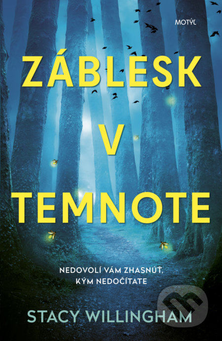 Kniha: Záblesk v temnote (Stacy Willingham). Motýľ, 2022 Kniha: Záblesk v temnote (Stacy Willingham). Motýľ, 2022