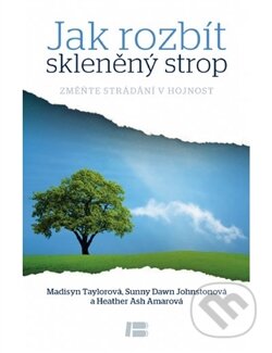 Kniha: Jak rozbít skleněný strop (Autorský kolektív). BETA - Dobrovský, 2014 Kniha: Jak rozbít skleněný strop (Autorský kolektív). BETA - Dobrovský, 2014