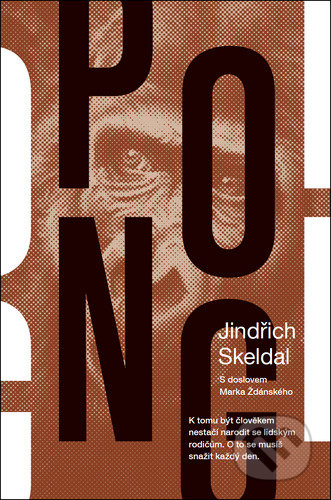 Kniha: Pong (Jindřich Rohlík) Kniha: Pong (Jindřich Rohlík)