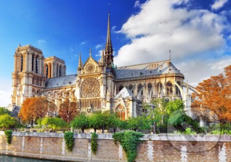 Puzzle: Cathédrale Notre-Dame de Paris (Bluebird). Bluebird, 2022 Puzzle: Cathédrale Notre-Dame de Paris (Bluebird). Bluebird, 2022