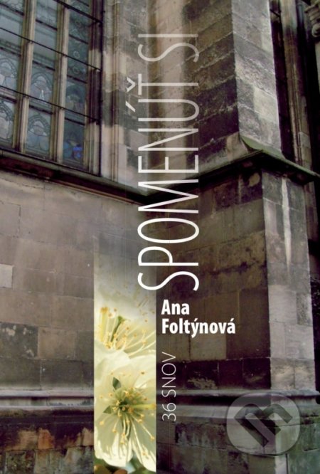 Kniha: Spomenúť si / 36 snov (Ana Foltýnová). 7*noon - new media art, 2009 Kniha: Spomenúť si / 36 snov (Ana Foltýnová). 7*noon - new media art, 2009