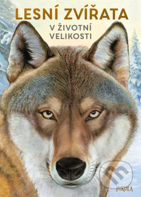 Kniha: Lesní zvířata: V životní velikosti (Holger Haag). Pikola, 2022 Kniha: Lesní zvířata: V životní velikosti (Holger Haag). Pikola, 2022