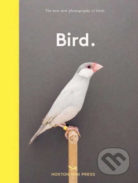 Kniha: Bird (Hoxton Mini Press). Hoxton mini Press, 2022 Kniha: Bird (Hoxton Mini Press). Hoxton mini Press, 2022
