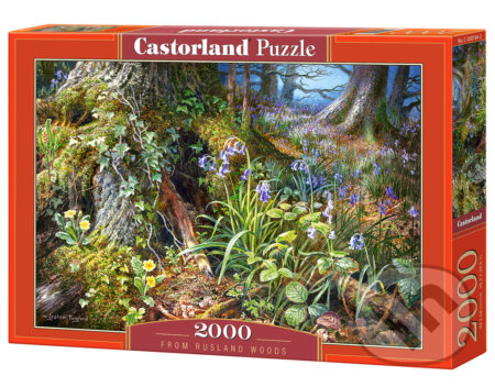 Puzzle: From Rusland Woods (Castorland). Castorland, 2022 Puzzle: From Rusland Woods (Castorland). Castorland, 2022
