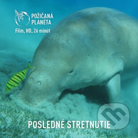 Film: Posledné stretnutie (Cesty za tichom) (DVD). Cesty za tichom, 2022 Film: Posledné stretnutie (Cesty za tichom) (DVD). Cesty za tichom, 2022