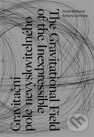 Gravitační pole nevyslovitelného - Antony Gormley, Kant, 2022