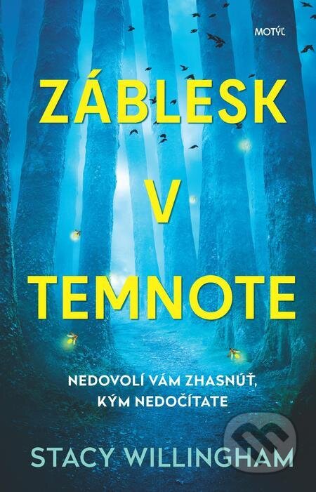 E-kniha: Záblesk v temnote (Stacy Willingham). Motýľ, 2022 E-kniha: Záblesk v temnote (Stacy Willingham). Motýľ, 2022