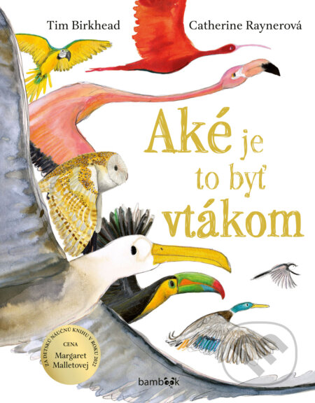 Kniha: Aké je to byť vtákom? (Tim Birkhead). Bambook, 2023 Kniha: Aké je to byť vtákom? (Tim Birkhead). Bambook, 2023