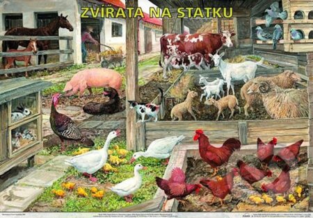 Plakát - Zvířata na statku (Scientia). Scientia, 2006 Plakát - Zvířata na statku (Scientia). Scientia, 2006
