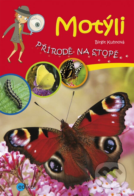 Kniha: Motýli (Birgit Kuhn). Edika Kniha: Motýli (Birgit Kuhn). Edika