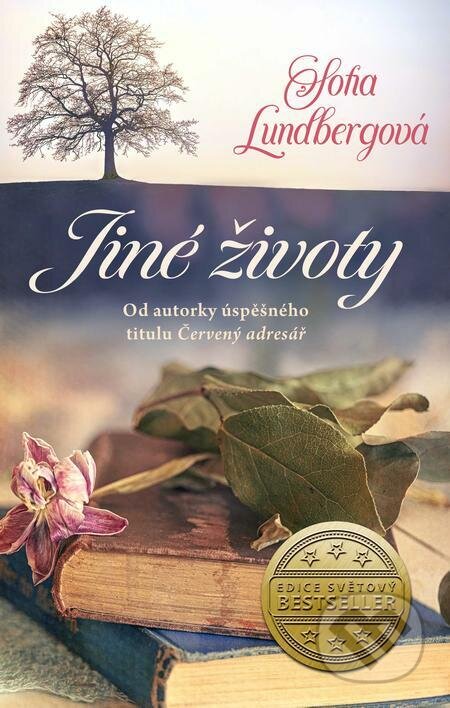 E-kniha: Jiné životy (Sofia Lundberg). Ikar CZ E-kniha: Jiné životy (Sofia Lundberg). Ikar CZ